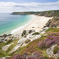 Buy canvas prints of Porthcurno beach from the heather covered cliffs a by Justin Foulkes