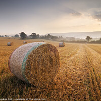 Buy canvas prints of The East Devon countryside at dawn by Justin Foulkes
