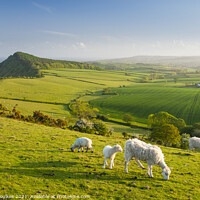 Buy canvas prints of View from Peak Hill, near Sidmouth, East Devon by Justin Foulkes