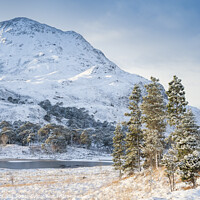 Buy canvas prints of Glen Torridon in winter, Highlands, Scotland by Justin Foulkes