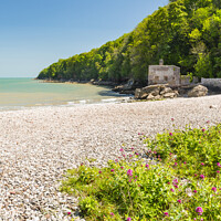 Buy canvas prints of Elberry Cove, near Brixham, South Devon by Justin Foulkes