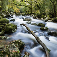Buy canvas prints of The river Plym at Shaugh Prior, Dartmoor by Justin Foulkes