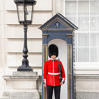 Buy canvas prints of Queens Guard, Buckingham Palace, London by Justin Foulkes
