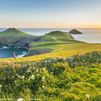 Buy canvas prints of The Rumps at sunrise, Cornwall by Justin Foulkes