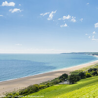 Buy canvas prints of Slapton Sands and Start Bay, South Devon by Justin Foulkes