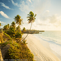 Buy canvas prints of Bottom Bay at sunrise, Barbados, Caribbean by Justin Foulkes
