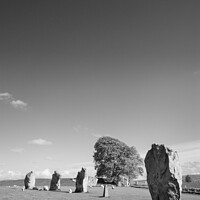 Buy canvas prints of Avebury Stone Circle, in black and white by Justin Foulkes
