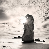 Buy canvas prints of Cathedral Cove, New Zealand, in sepia by Justin Foulkes