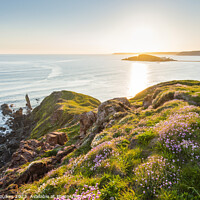 Buy canvas prints of Burgh Island from Bantham, South Devon by Justin Foulkes