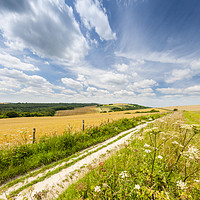 Buy canvas prints of The South Downs Way near Bignor Hill  by Justin Foulkes