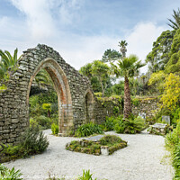 Buy canvas prints of Tresco Abbey Gardens, Tresco, Isles of Scilly by Justin Foulkes