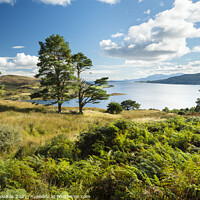 Buy canvas prints of Kyles of Bute, Isle of Bute, Scotland by Justin Foulkes