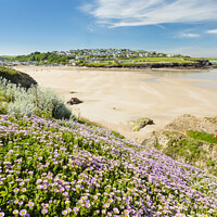 Buy canvas prints of Wildflowers above Polzeath beach, Cornwall by Justin Foulkes