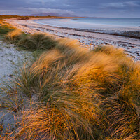 Buy canvas prints of  Liniclate, Benbecula, Outer Hebrides by Justin Foulkes