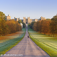 Buy canvas prints of Autumn view of "The Long Walk" at Windsor Castle,  by Justin Foulkes