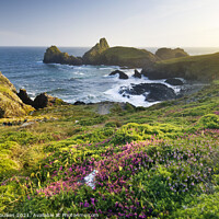 Buy canvas prints of Kynance Cove, The Lizard Peninsula, Cornwall by Justin Foulkes