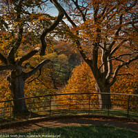 Buy canvas prints of autumnal trees, greenwich park by mark Smith