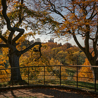 Buy canvas prints of Autumn, Greenwich Park by mark Smith