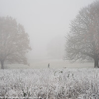 Buy canvas prints of frosty morning, nonsuch park by mark Smith
