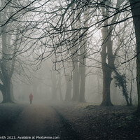 Buy canvas prints of foggy day, nonsuch park by mark Smith