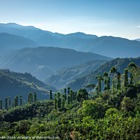 Buy canvas prints of Tree lined ridge, Costa Rica by mark Smith