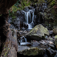 Buy canvas prints of Falls along the Walla Crag Trail by mark Smith