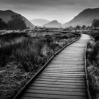 Buy canvas prints of Footpath over Borrowdale marshes  by mark Smith
