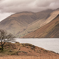 Buy canvas prints of Lone Tree Wast Water by mark Smith