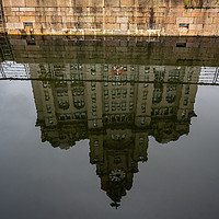 Buy canvas prints of Liver Building in Reflection by mark Smith