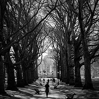 Buy canvas prints of Green Park by mark Smith