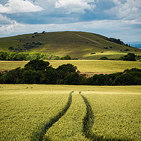 Buy canvas prints of South Downs by mark Smith