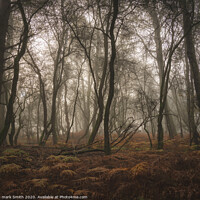 Buy canvas prints of misty autumn woodland by mark Smith