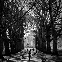 Buy canvas prints of green park by mark Smith