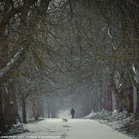 Buy canvas prints of Winter Walk by mark Smith