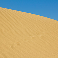 Buy canvas prints of gold sand dune by goce risteski