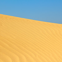 Buy canvas prints of sand dune with small animals tracks by goce risteski