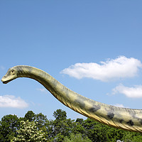 Buy canvas prints of long neck brontosaurus dinosaur by goce risteski
