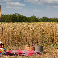 Buy canvas prints of wheat field ready for harvest by goce risteski