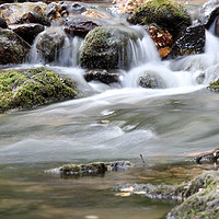 Buy canvas prints of creek with rocks spring scene by goce risteski