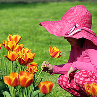 Buy canvas prints of little girl smell tulip flower spring scene by goce risteski