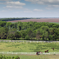 Buy canvas prints of farmland and herd of horses in corral aerial view by goce risteski