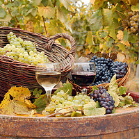 Buy canvas prints of red and white wine autumn season by goce risteski
