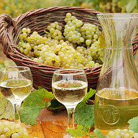 Buy canvas prints of white wine and grape close up by goce risteski