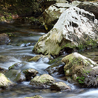 Buy canvas prints of rocks and creek water spring season by goce risteski