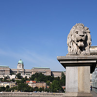 Buy canvas prints of Buda castle and chain bridge lion statue Budapest by goce risteski
