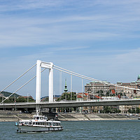 Buy canvas prints of Elisabeth bridge on Danube river Budapest by goce risteski