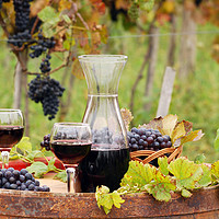 Buy canvas prints of red wine on wooden barrel autumn season by goce risteski