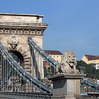 Buy canvas prints of lion statue chain bridge Budapest by goce risteski