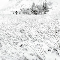 Buy canvas prints of The Winter Cot by Sylvan Buckley