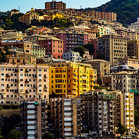 Buy canvas prints of Genoa Cityscape by Dave Denby